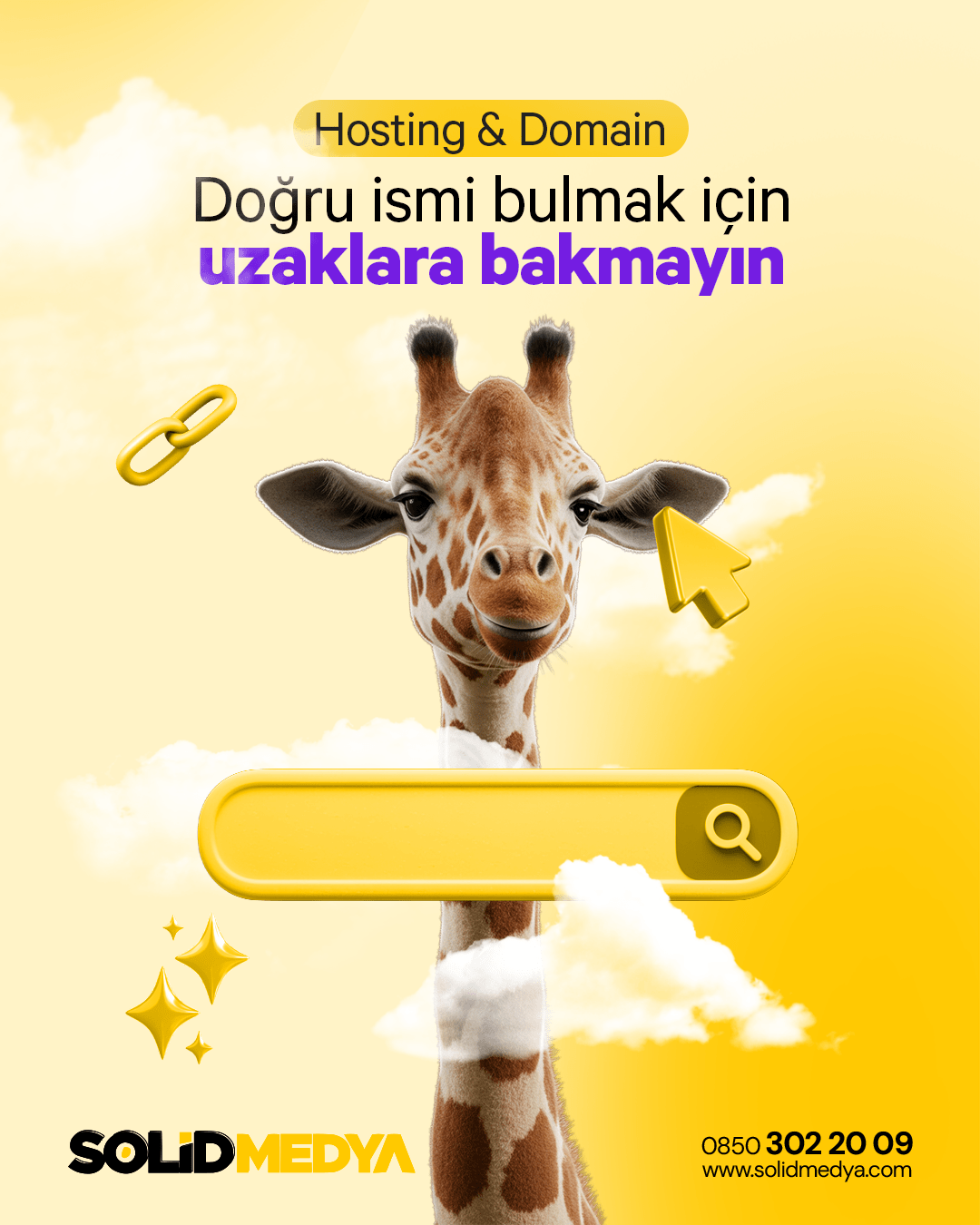 Solid Medya Instagram - hosting