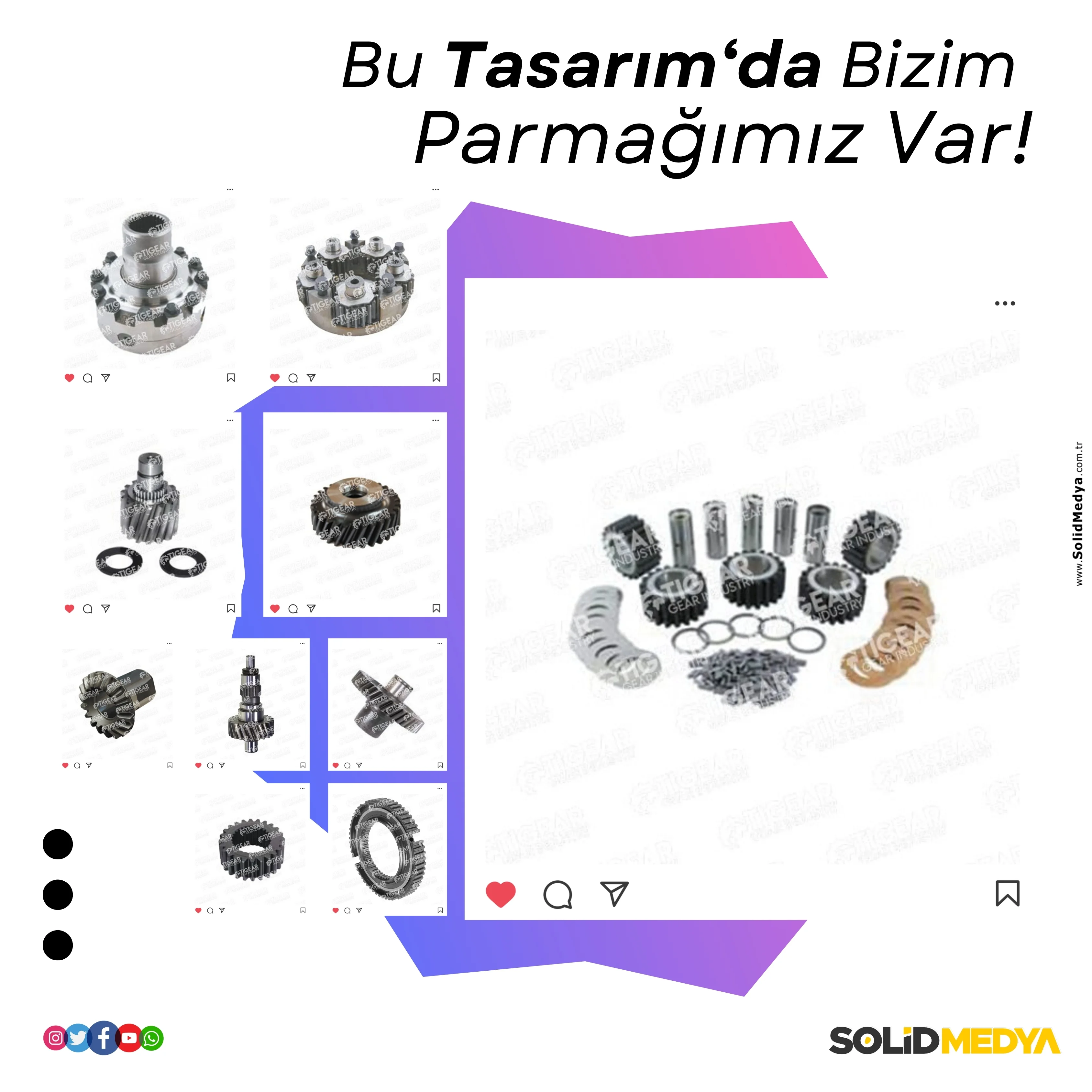 Tigeardisli - Fotograf Projesi | Solid Medya