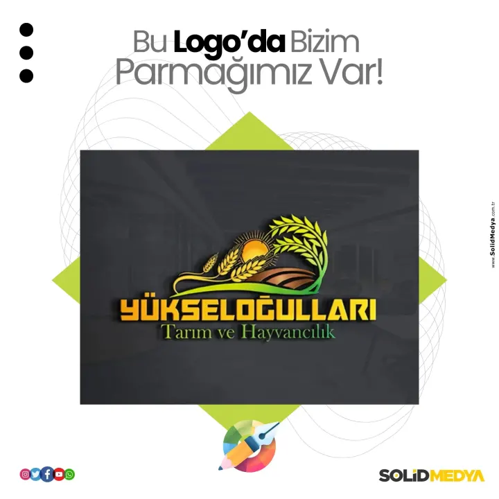 Logo Tasarım Projesi 75 — Solid Medya Konya