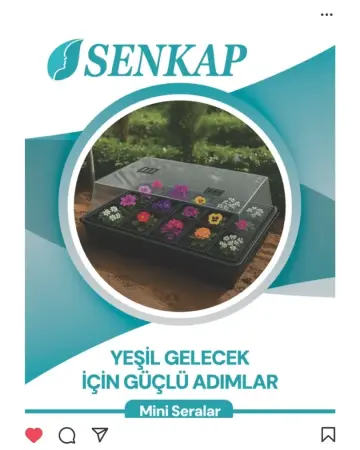 Konya Sosyal Medya Reklamları ve Dijital Strateji