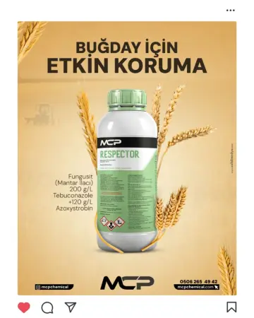Konya'nın En İyi Reklam ve Yazılım Ajansı Konya Reklam Ajansı - Solid Medya Dijital Çözümler