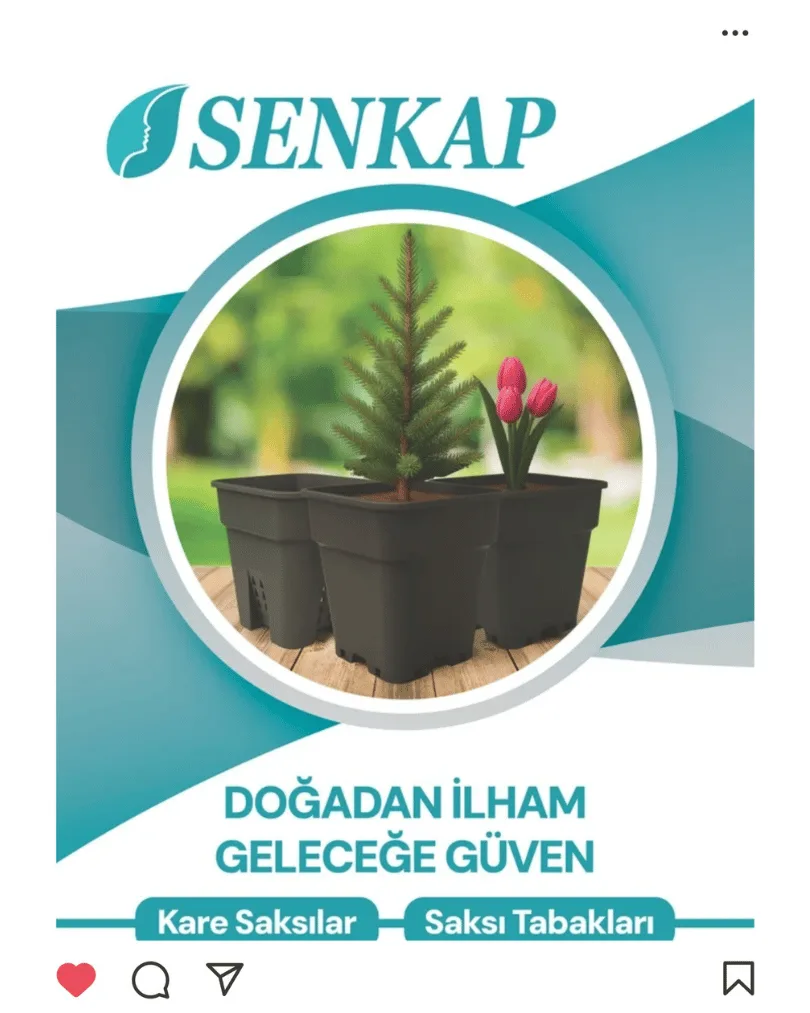 Solid Medya sosyal medya tasarım çalışması 50 önizlemesi