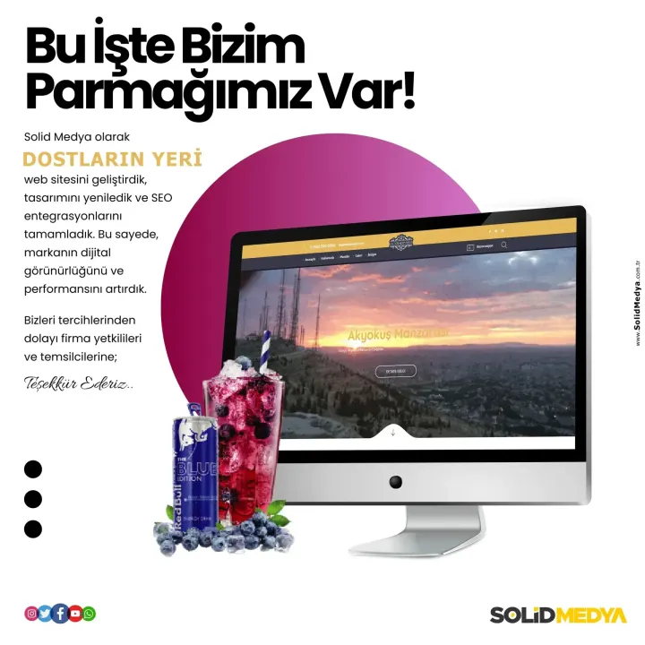 Dostlarinyeri — Web Tasarım Projesi | Solid Medya