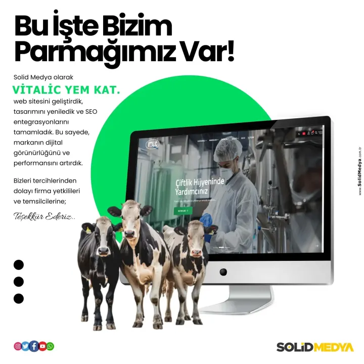 Vitalicyemkatki Vitalicyemkatki — Kurumsal Numara Projesi | Solid Medya