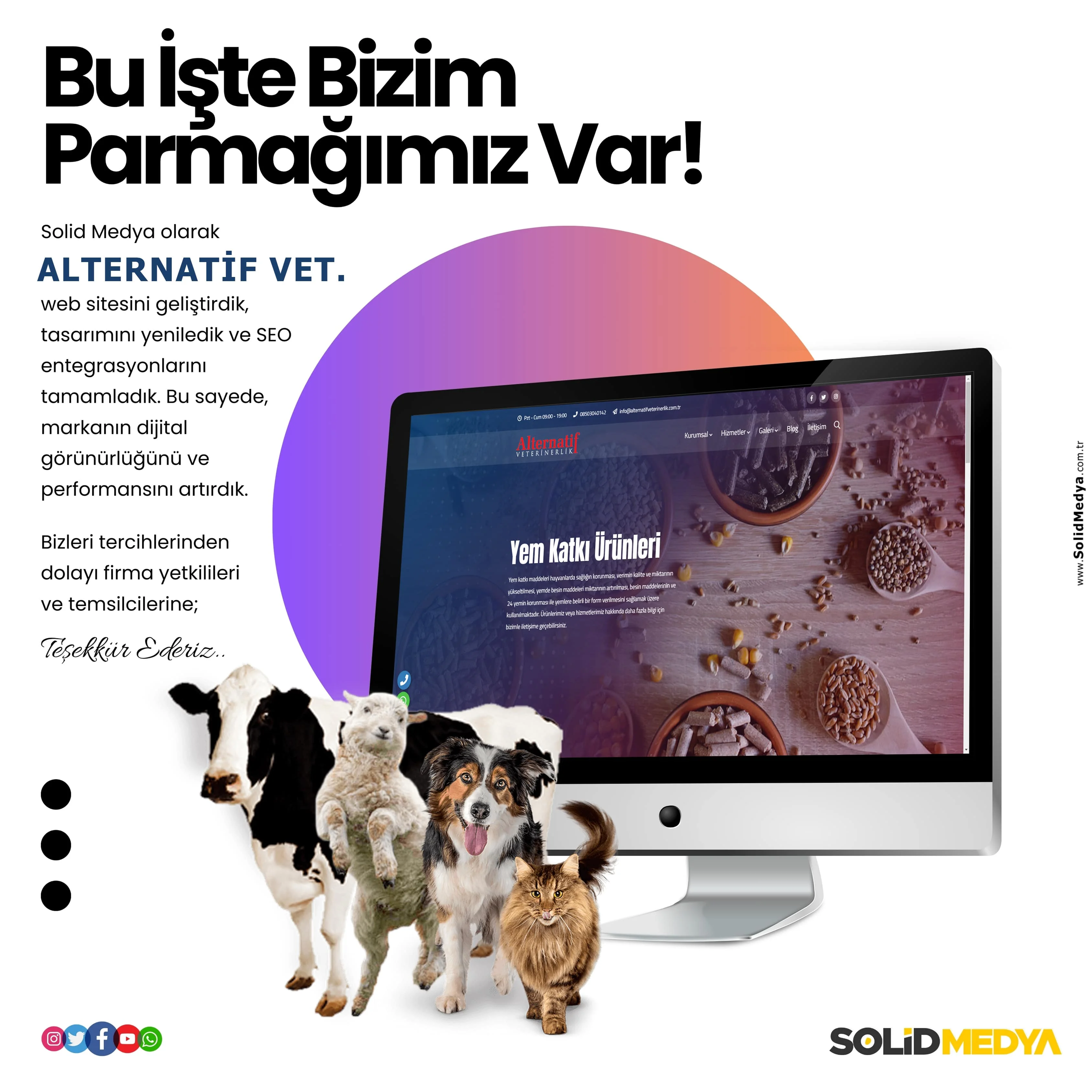 Alternatifveterinerlik Min - Webtasarim Projesi | Solid Medya