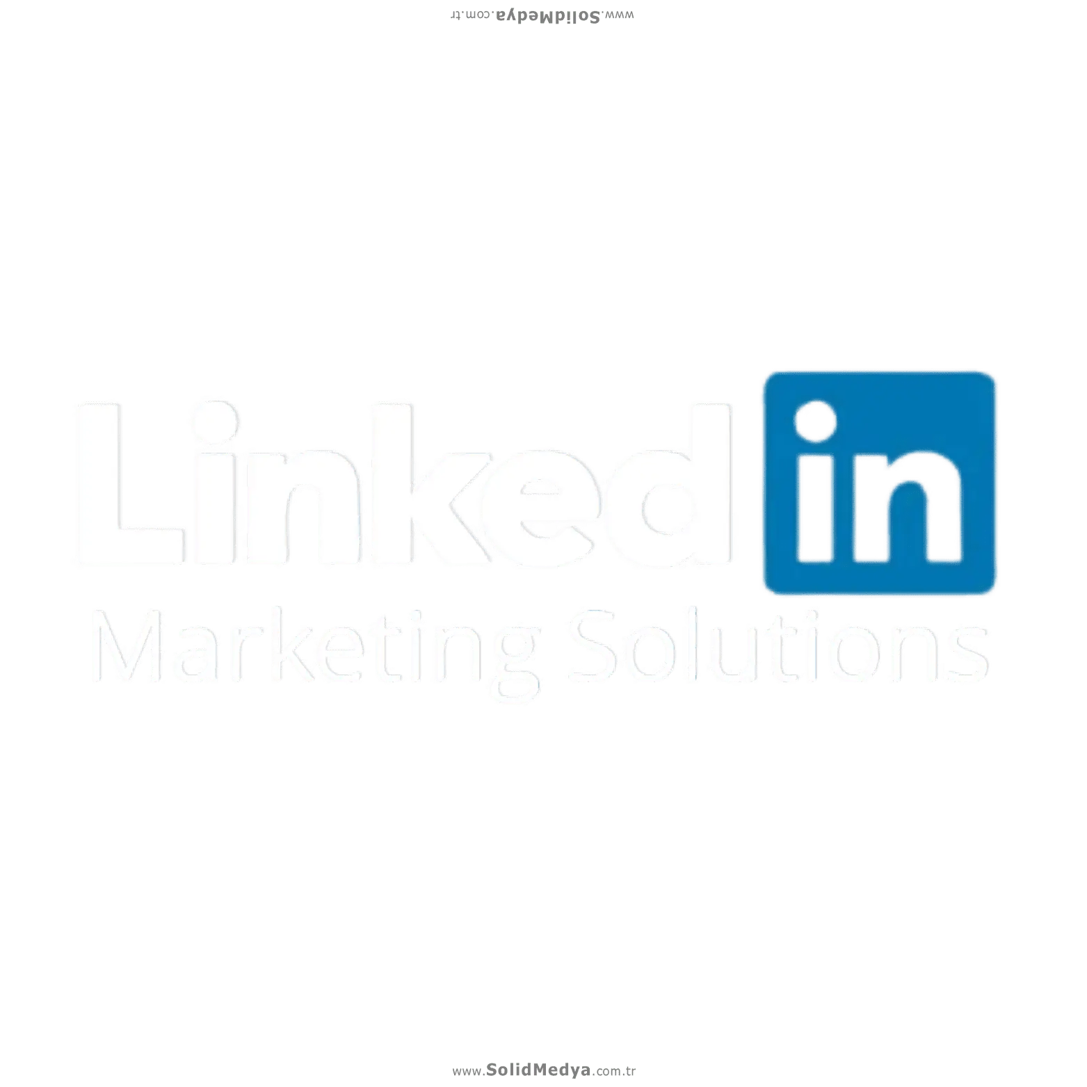 LinkedIn Reklam Yönetimi