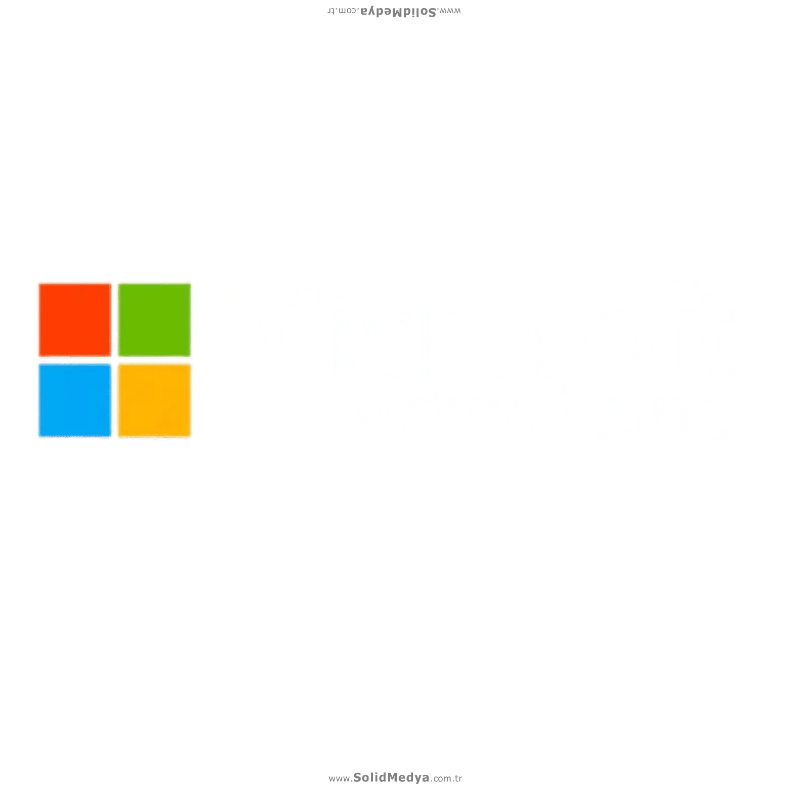 Microsoft Advertising Partner