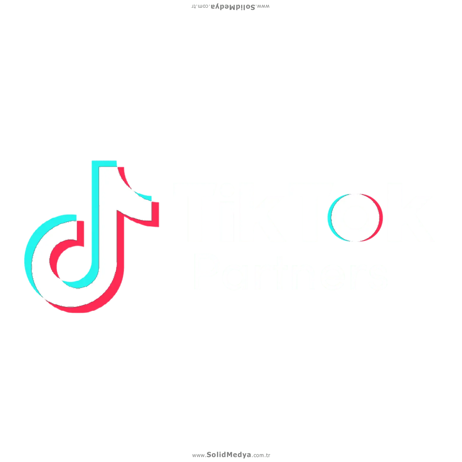 TikTok Reklam Ajansı Konya