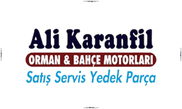 Ali Karanfil Orman - Solid Medya Referansı