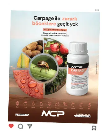 Konya marka tescil ve patent