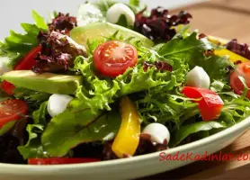 Sade Salata Sade Salata