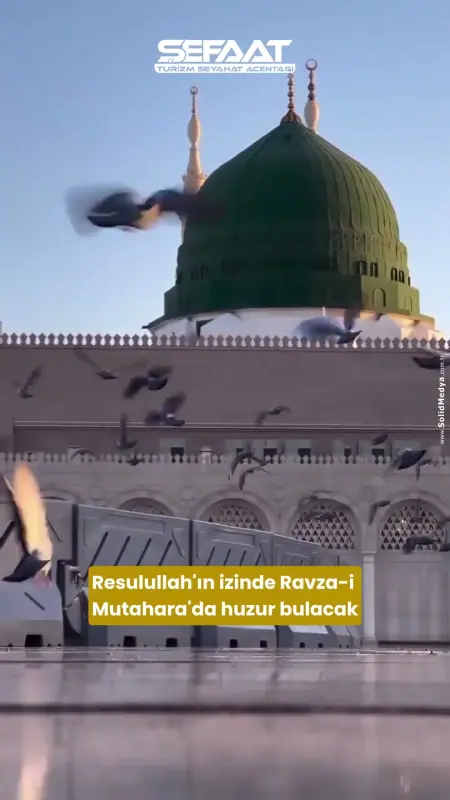 Şefaat Turizm (Reels) — 2. video kapak görseli