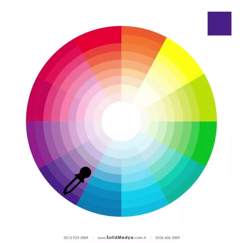 Renk Teorisi ve Web Tasarımında Renk Seçimi İpuçları